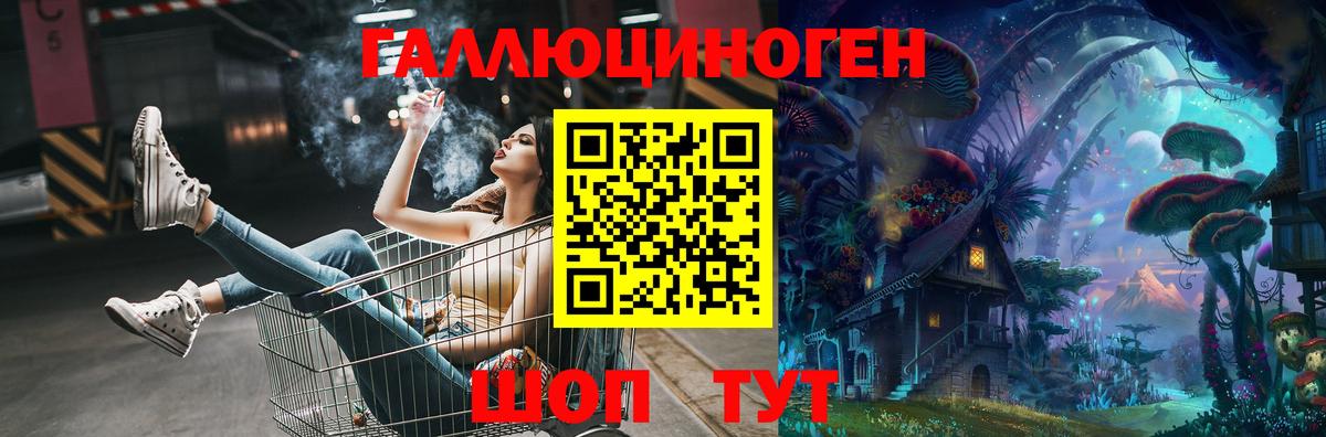 Новозыбков  Псилоцибиновые грибы мухоморы  Вход с VPN  Псилоцибиновые грибы GOLDEN TEACHER 